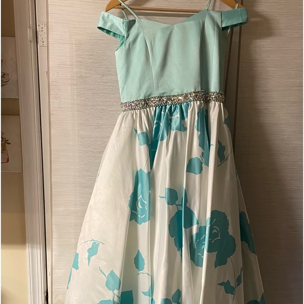 Dandan Li Pageant dress.